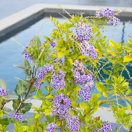 Sea Breeze Mistral 4 Per With Private Pool Willa *
