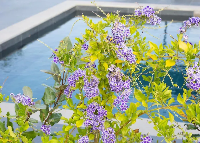 Sea Breeze Mistral 4 Per With Private Pool Villa *